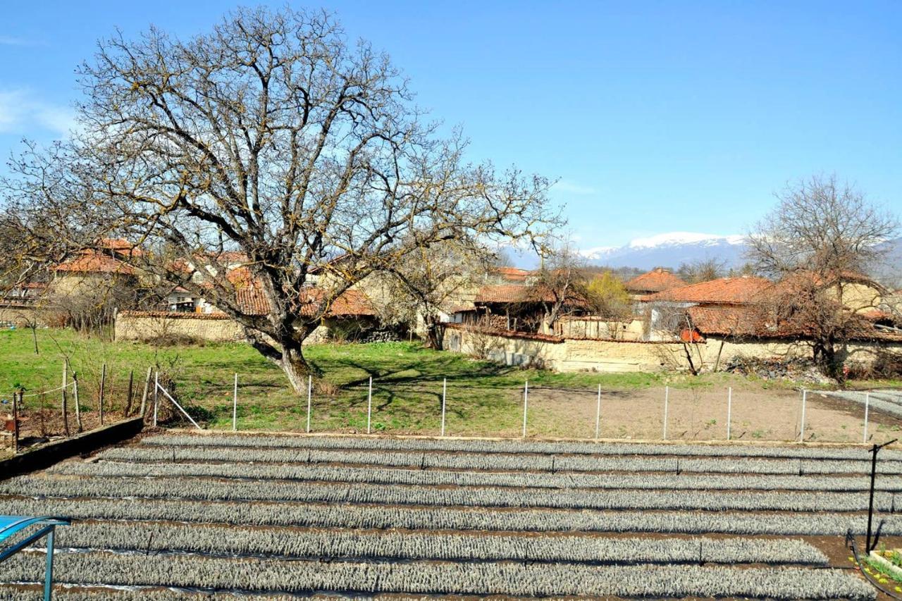 Vila V S. Gabarevo, Dolinata Na Rozite. Villa Eksteriør bilde