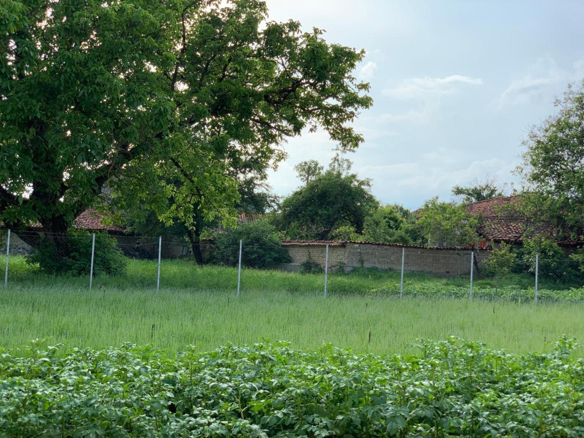 Vila V S. Gabarevo, Dolinata Na Rozite. Villa Eksteriør bilde